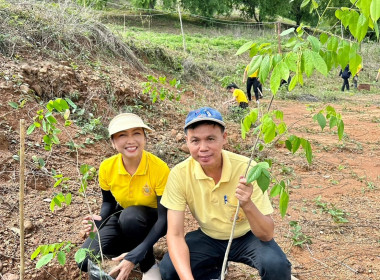 จัดกิจกรรมปลูกต้นไม้ ภายใต้โครงการ &quot;สหกรณ์อาสา ทำความดี ... พารามิเตอร์รูปภาพ 18